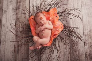 IMG_7317-copy