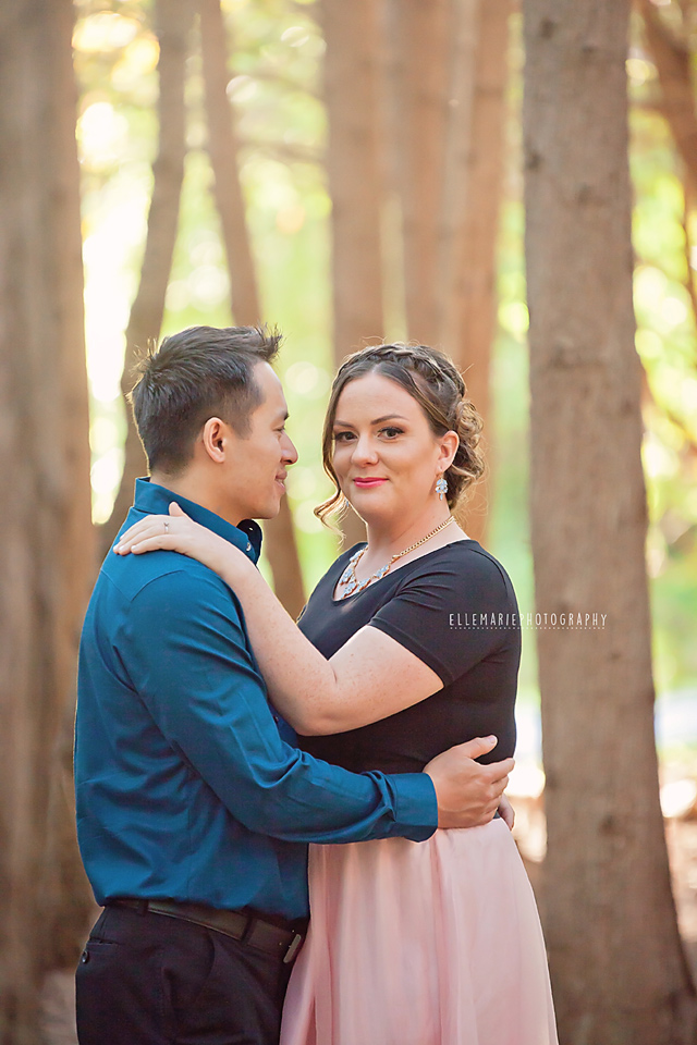 engagement photo
