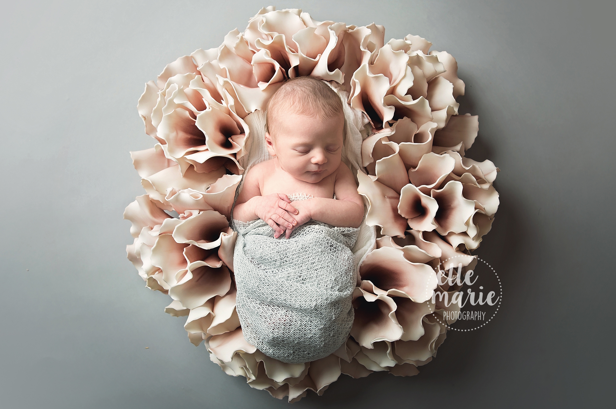 newborn in flower wreath