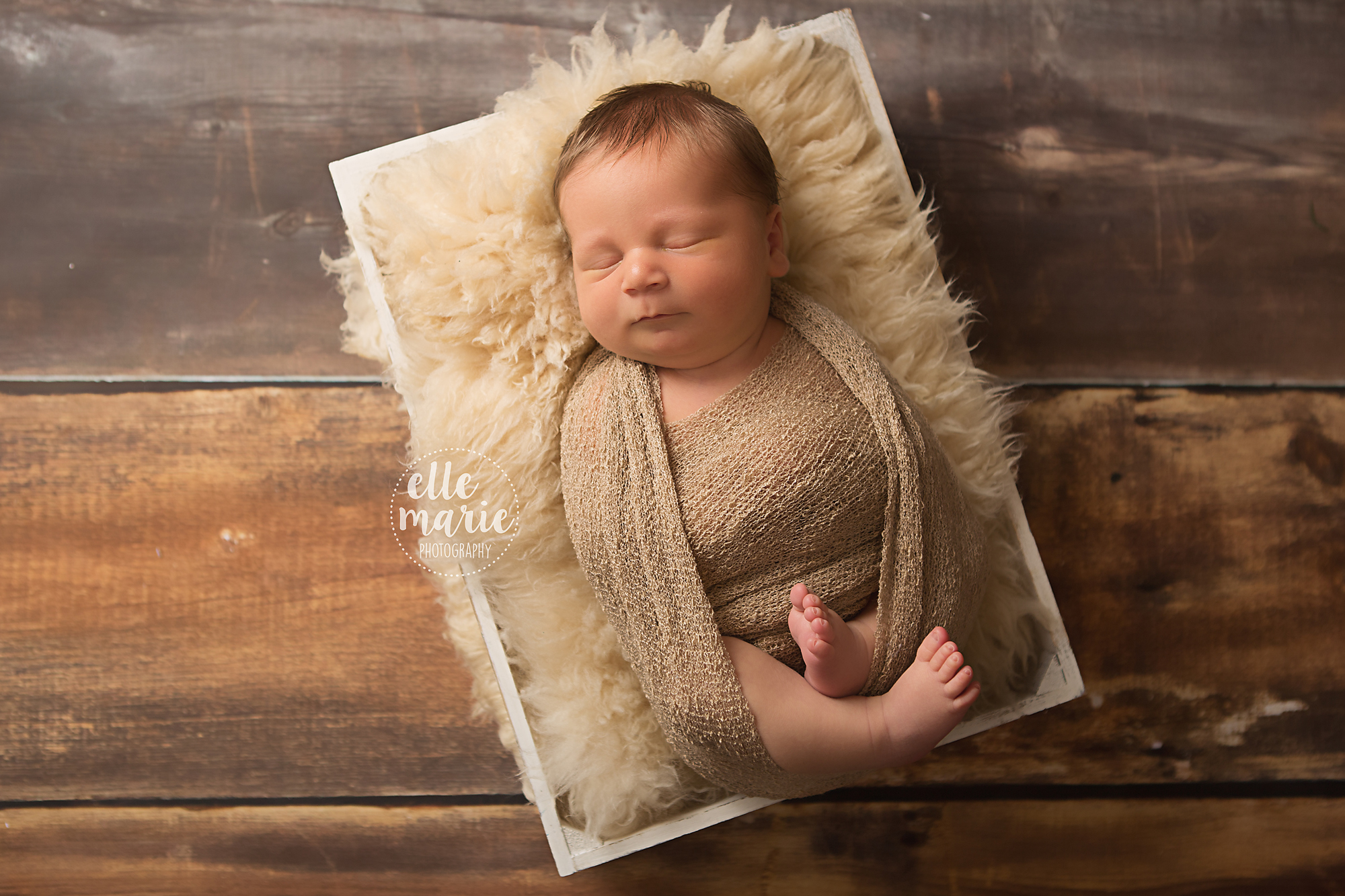 newborn
