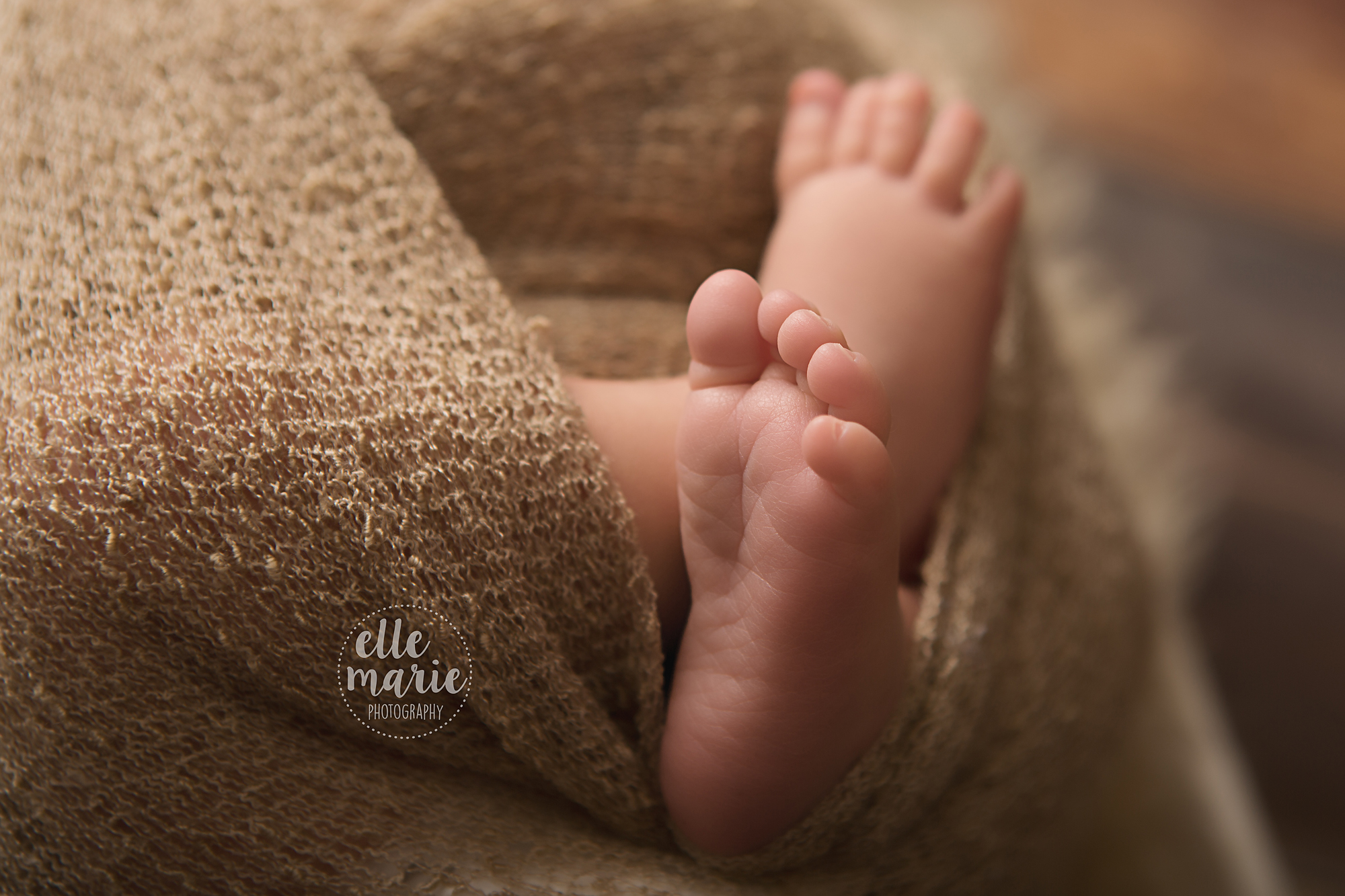 newborn