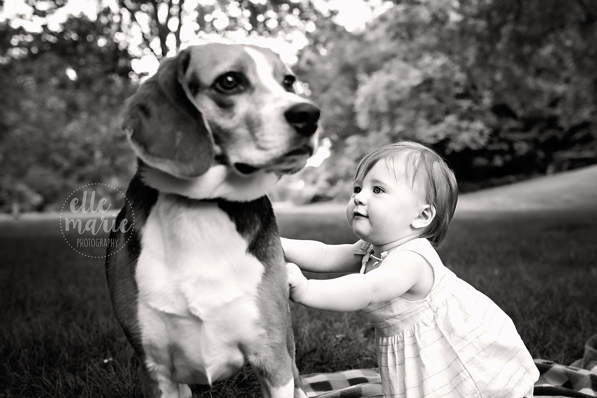 baby girl with dog