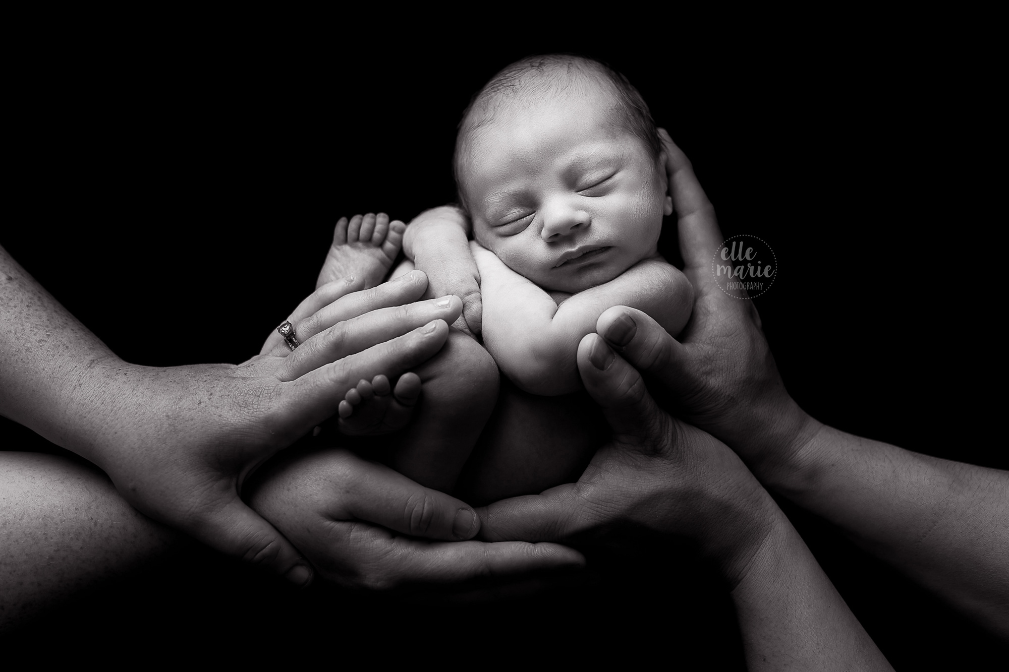 newborn baby boy being held by mom and dad's hands, in black and white