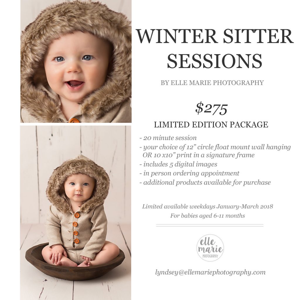 winter sitter sessions flyer