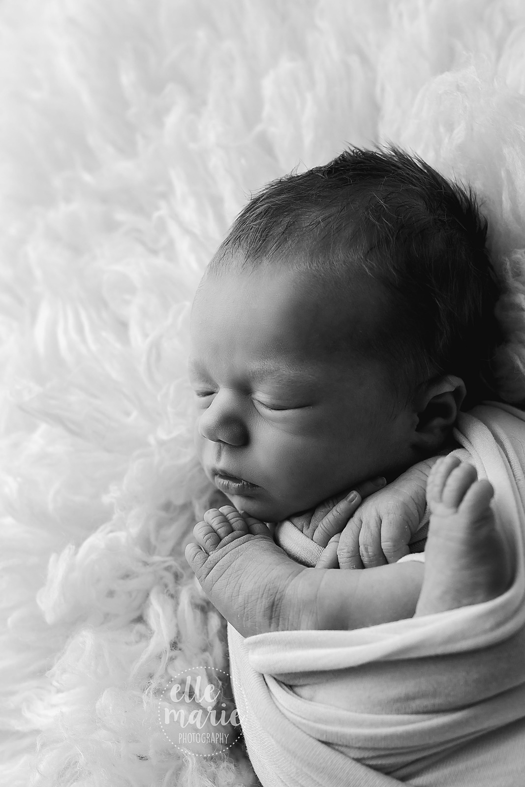 newborn girl in black and white on fur