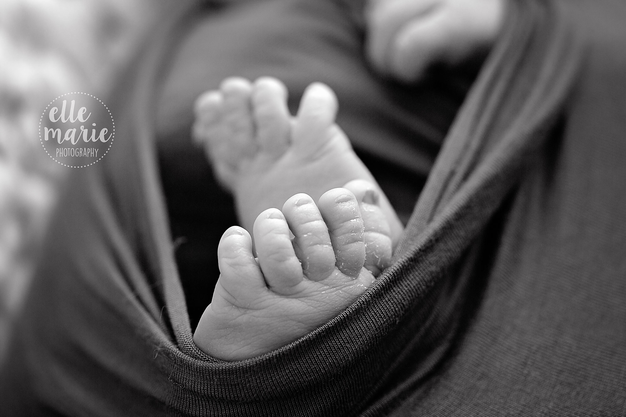 Newborn baby toes in black and white