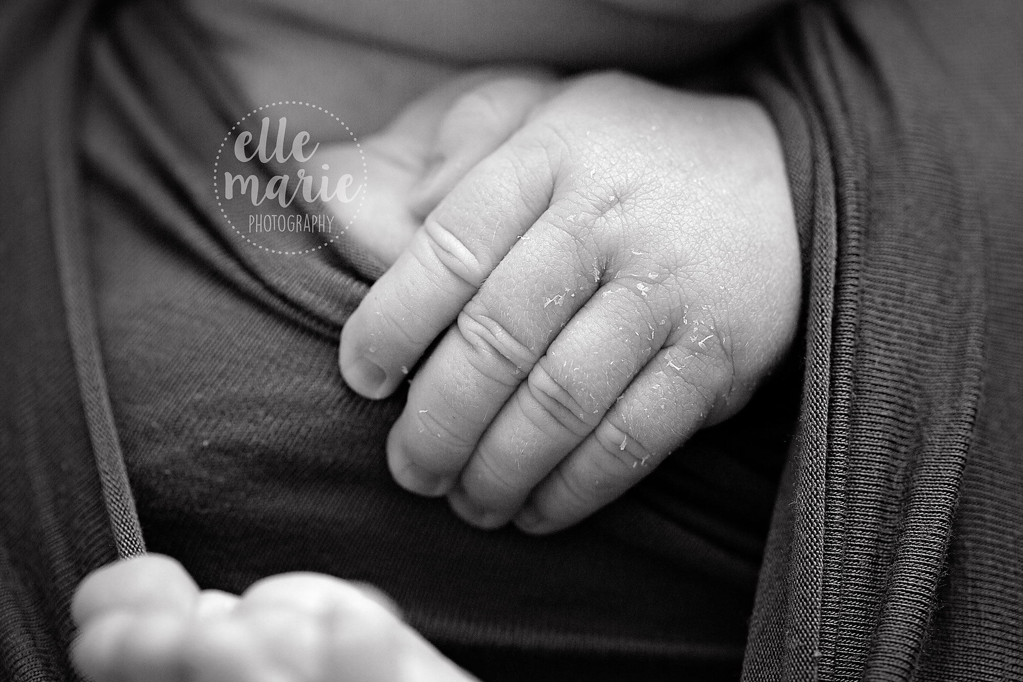 Newborn baby hands in black and white