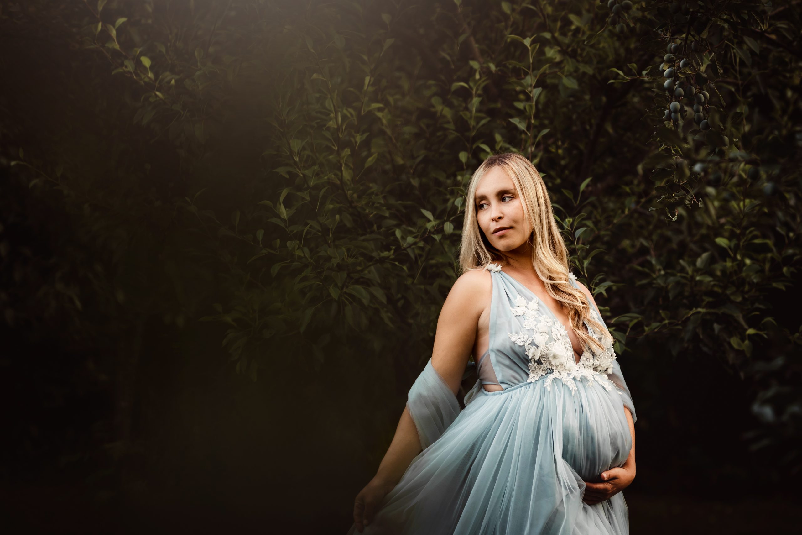 maternoty photo of woman in blue gown