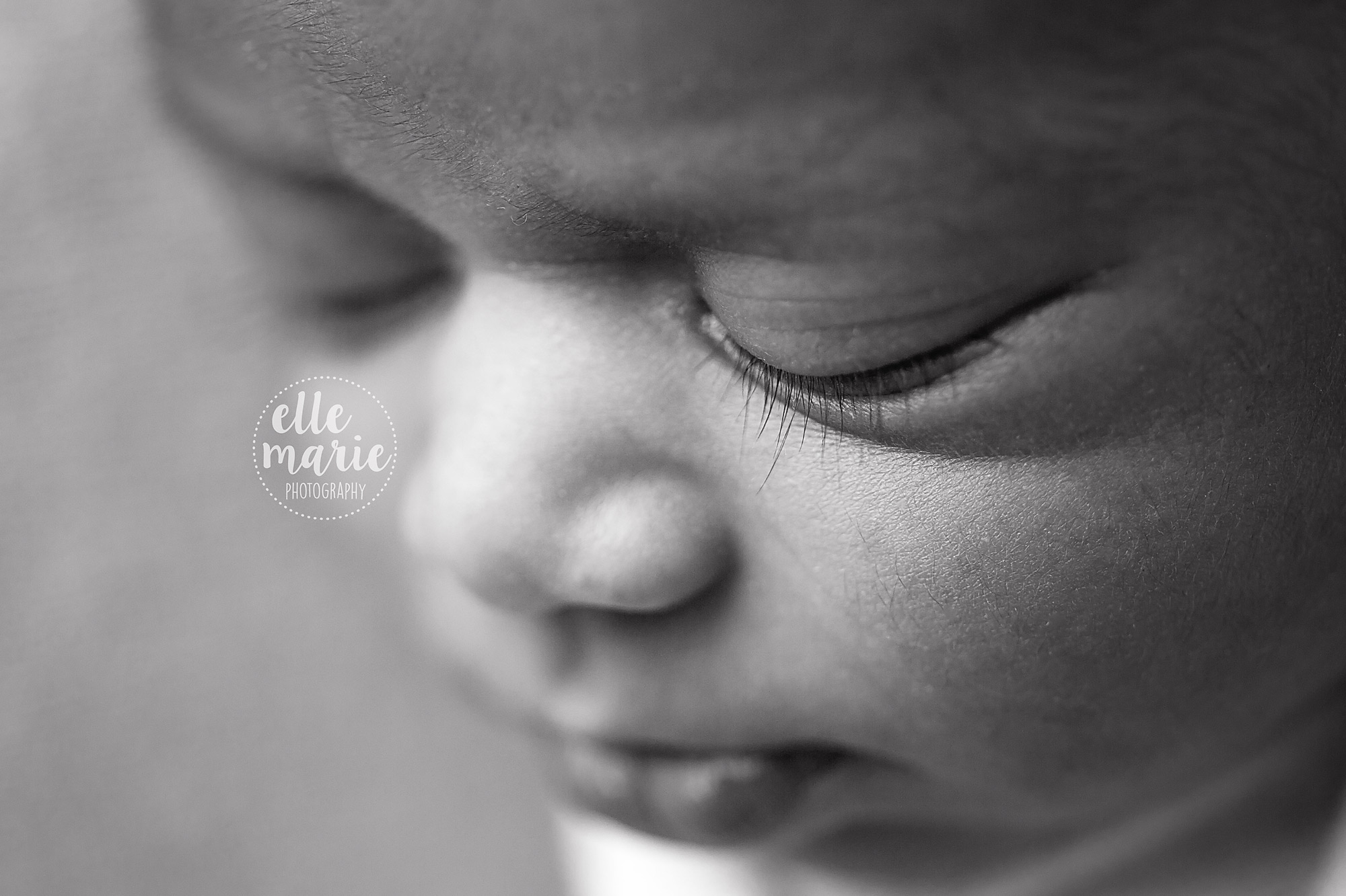 macro image of newborn lashes