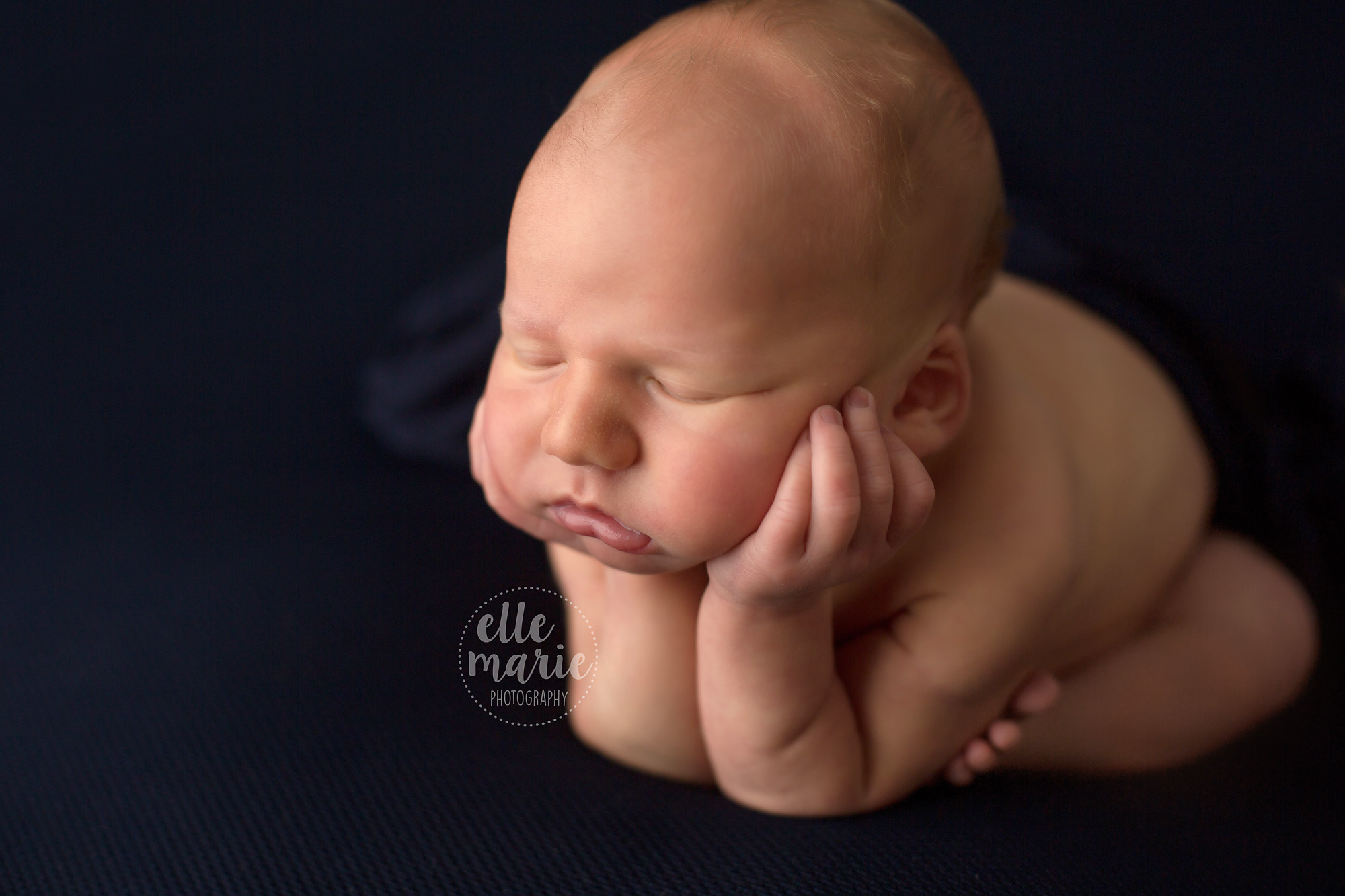 newborn boy in froggy pose on navy