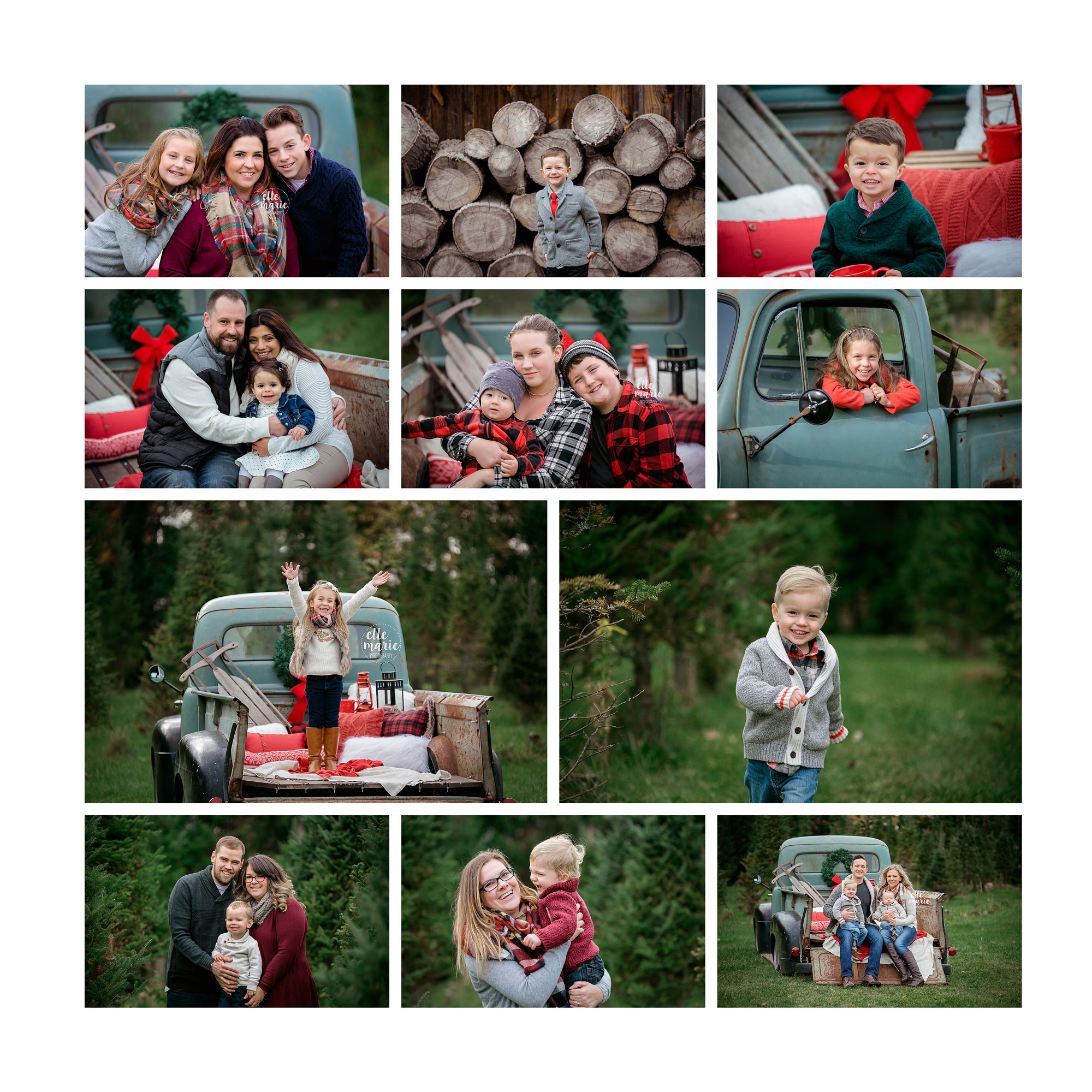 Collage of tree farm session photos