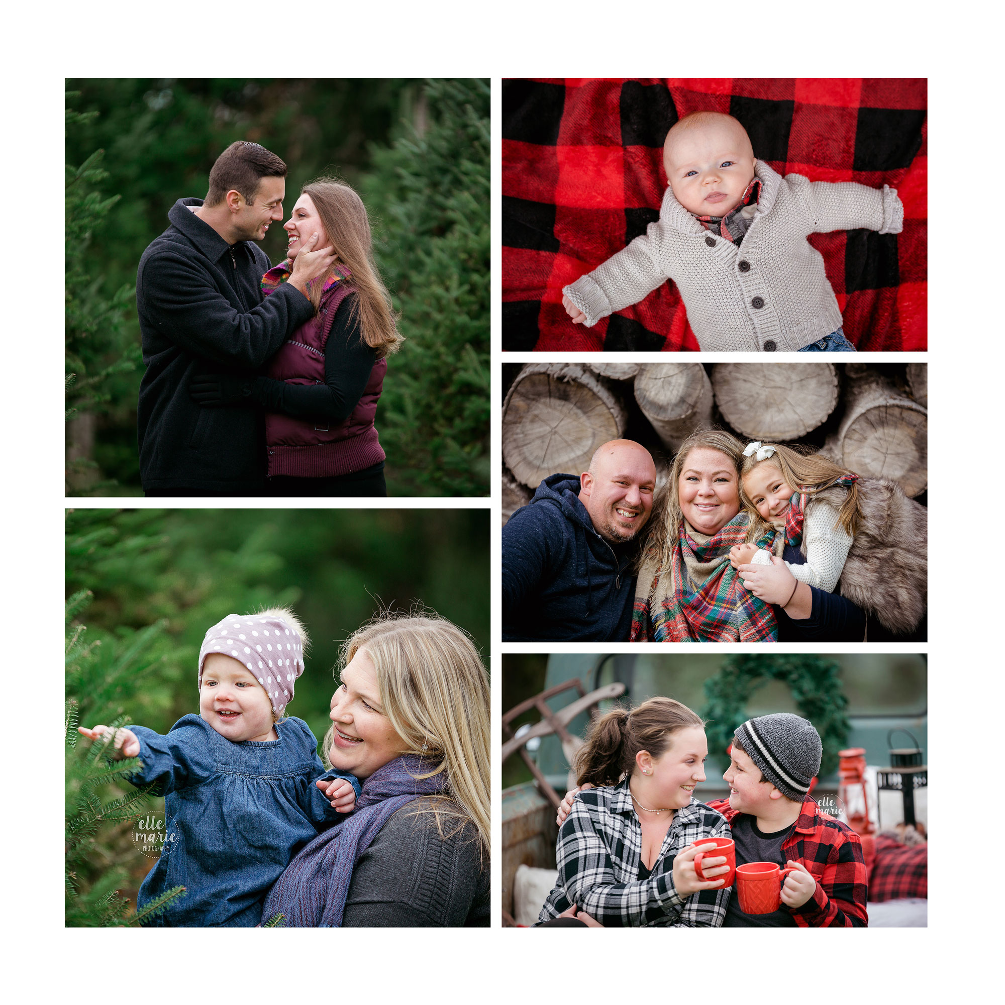 Collage of tree farm session photos