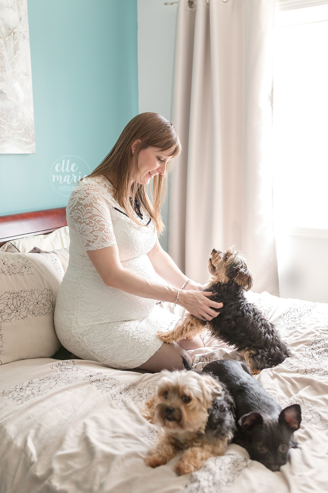 maternity photo of woman with her dogs