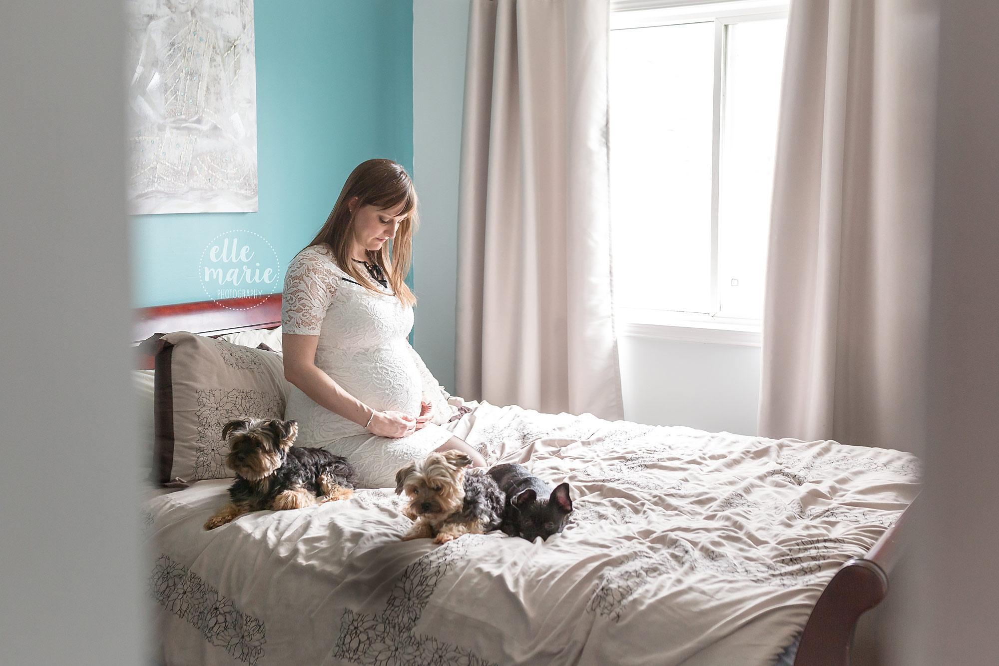 pregnant mother on bed with dogs