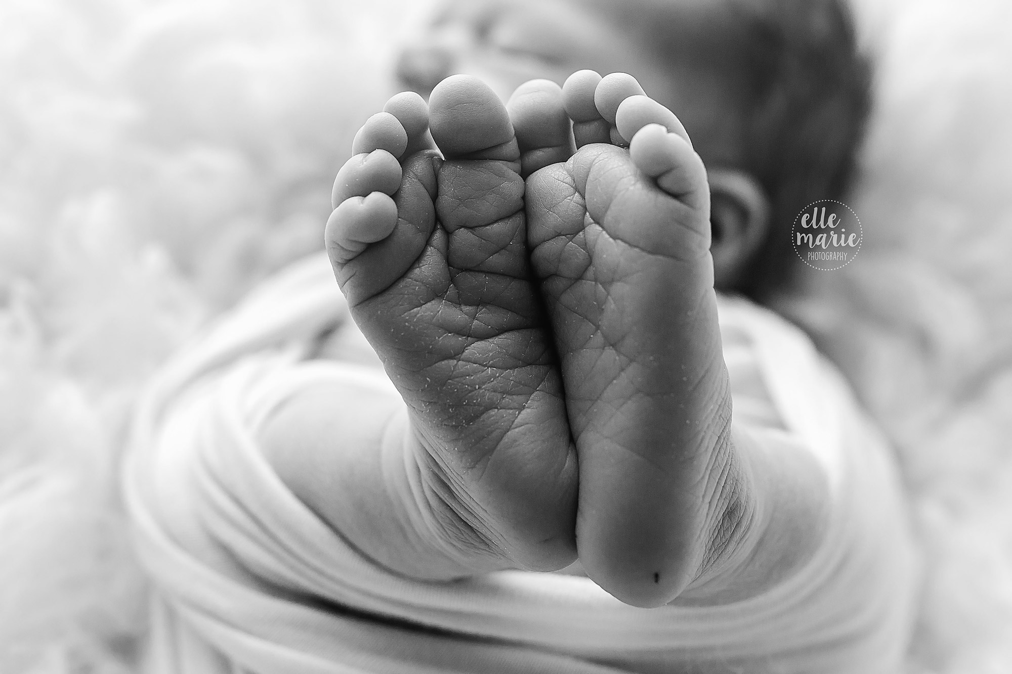 close up of newborn feet