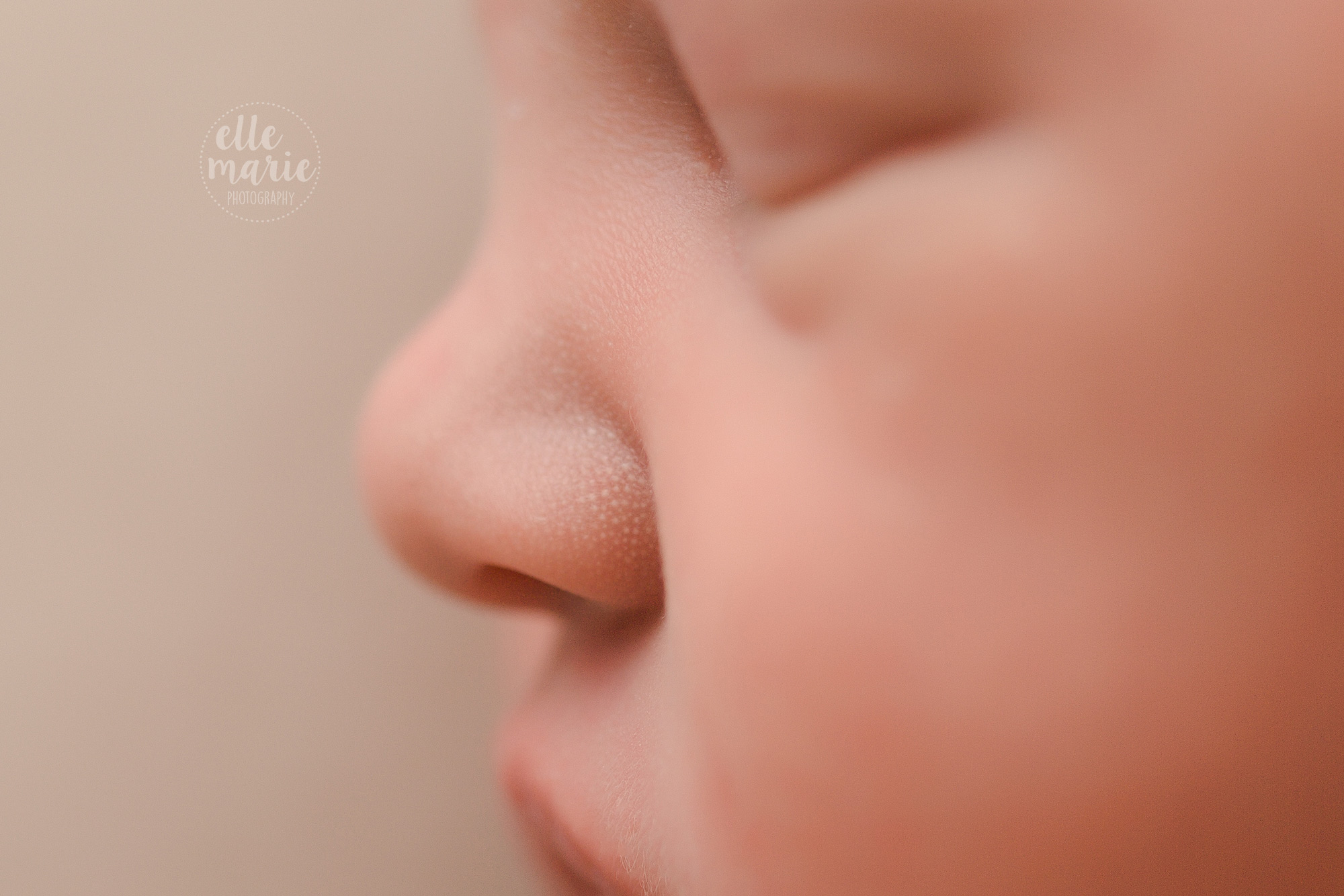 close up of newborn nose