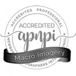 2022 APNPI Accreditation in Macro Photography