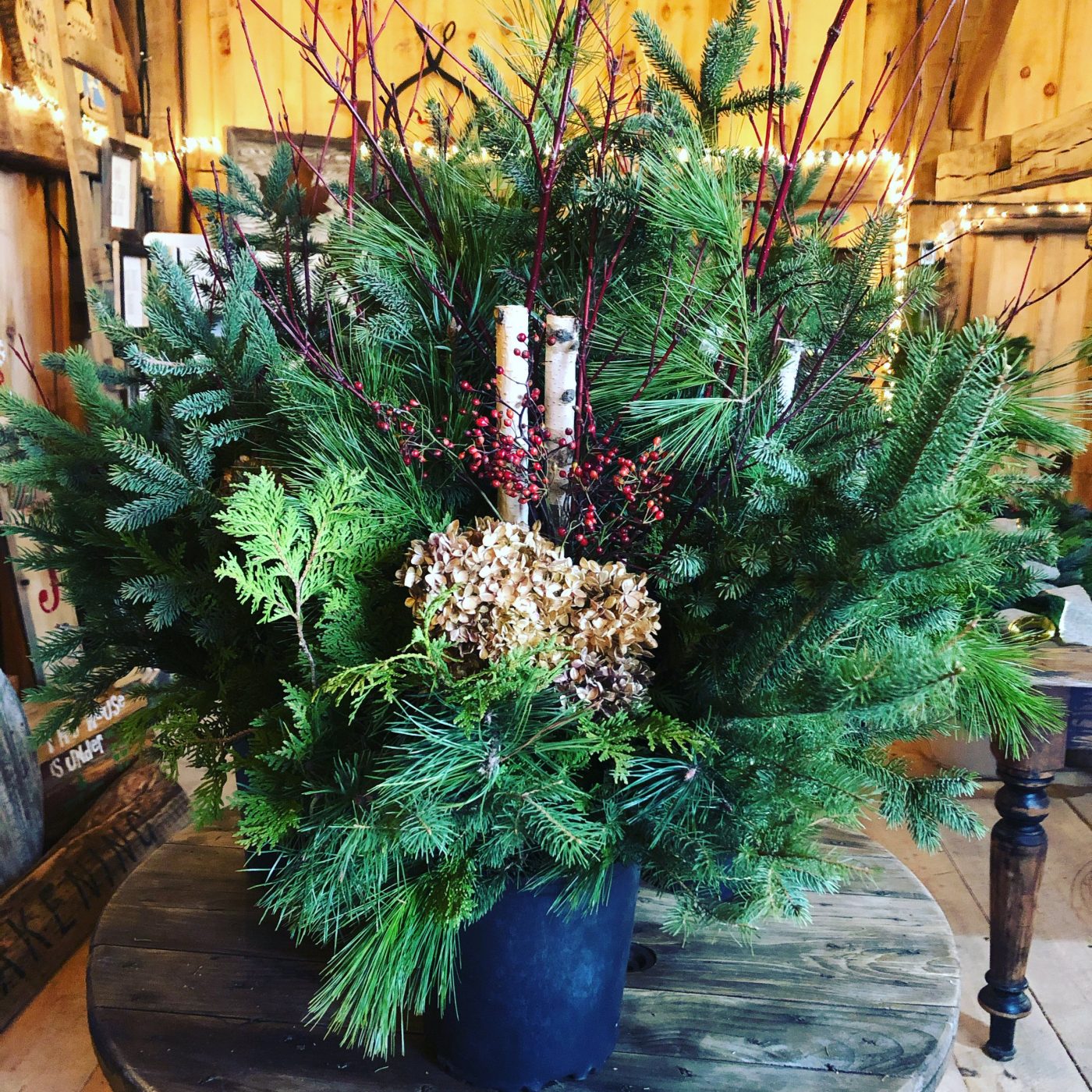 Hope's Tree Farm Christmas Urn