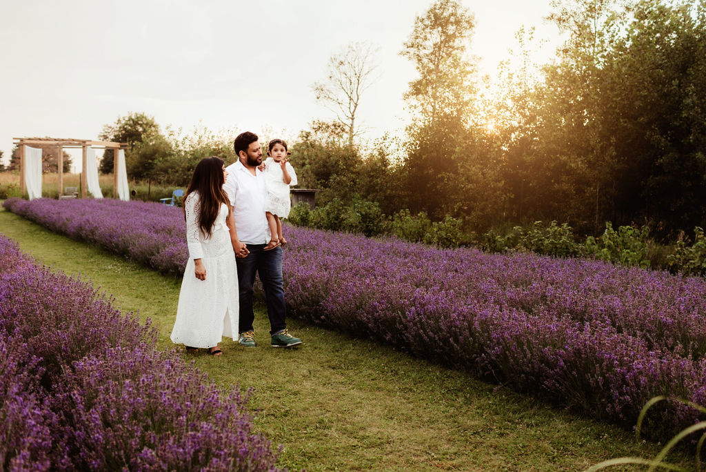 A mother and father walk through a lavender garden at sunset holding their toddler daughter
